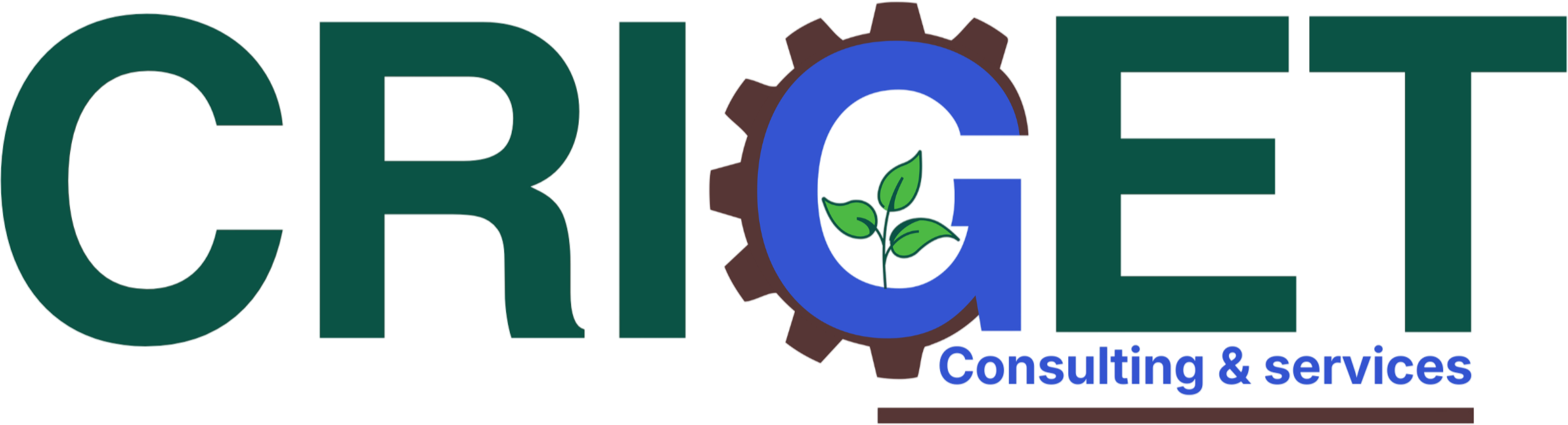 CRIGET-CS Logo
