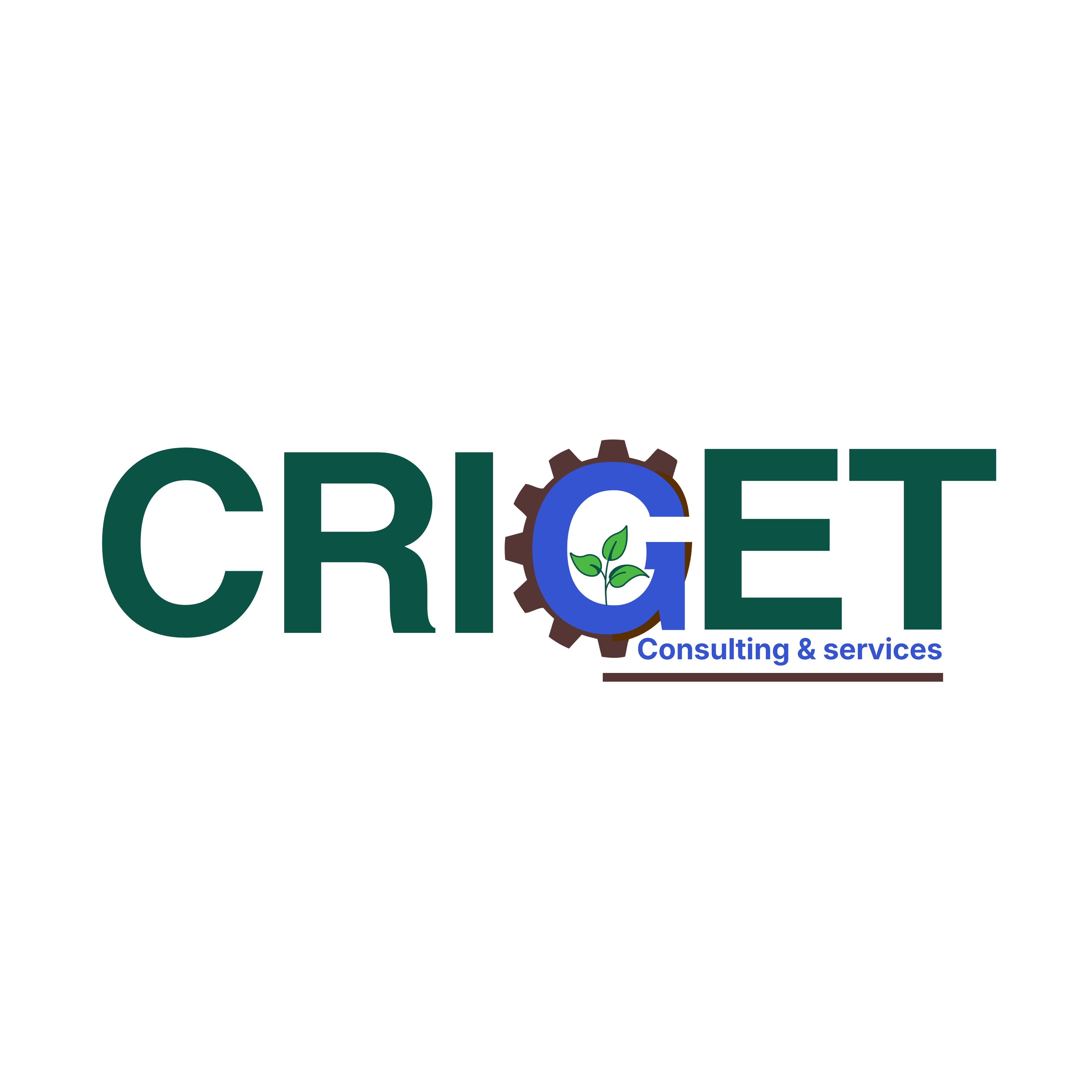 CRIGET-CS Logo